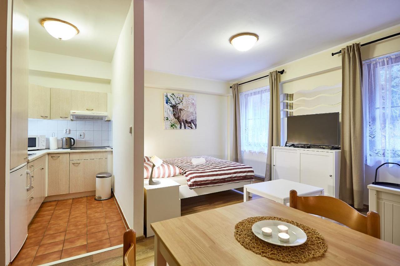 Lanovka Apartment Jachymov Luaran gambar